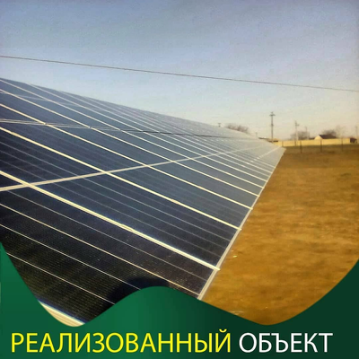 сэс в поле
