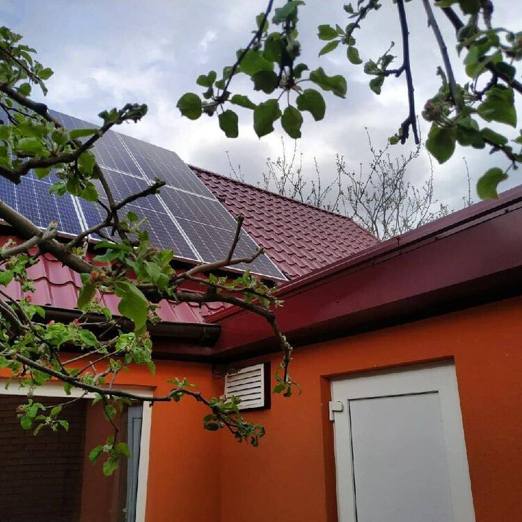 солнечные панели за ветками